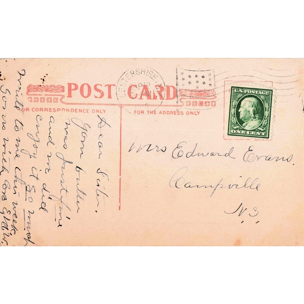 Antique 1907 Fluffy Pets Long Haired Cats Postcard HI Robbins 1912 Postmark - Picture 2 of 2